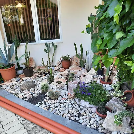 Beutiful Ground Floor Apartment Close To Beach Lägenhet Slăntjev Brjag